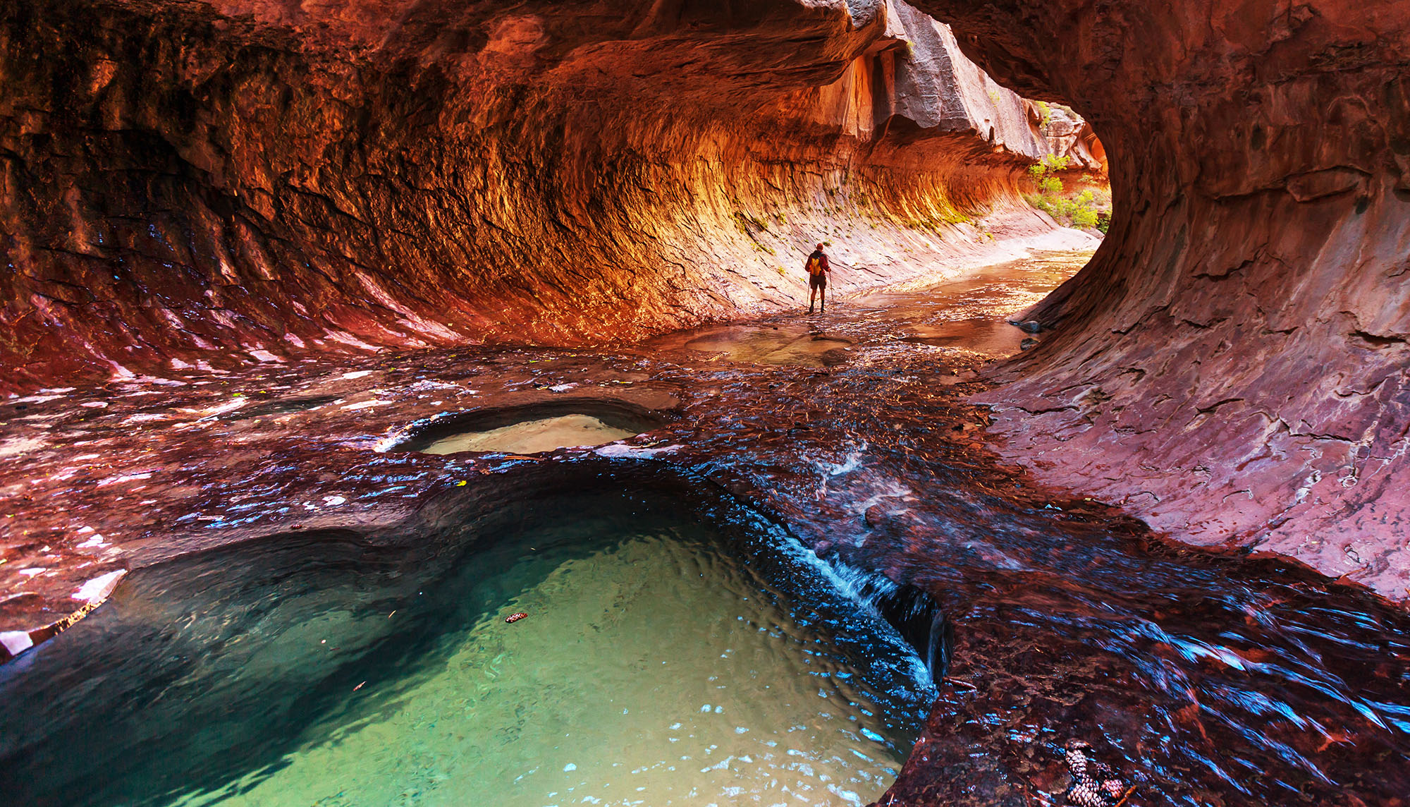 Visiting Zion National Park, Utah in a Sprinter Van Sprinter Vans 4 Rent