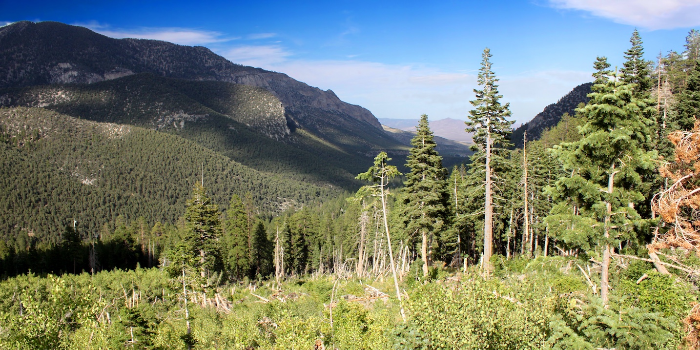 Panorama of forested mountains in the Mount Charleston area northwest of Las Vegas Nevada.